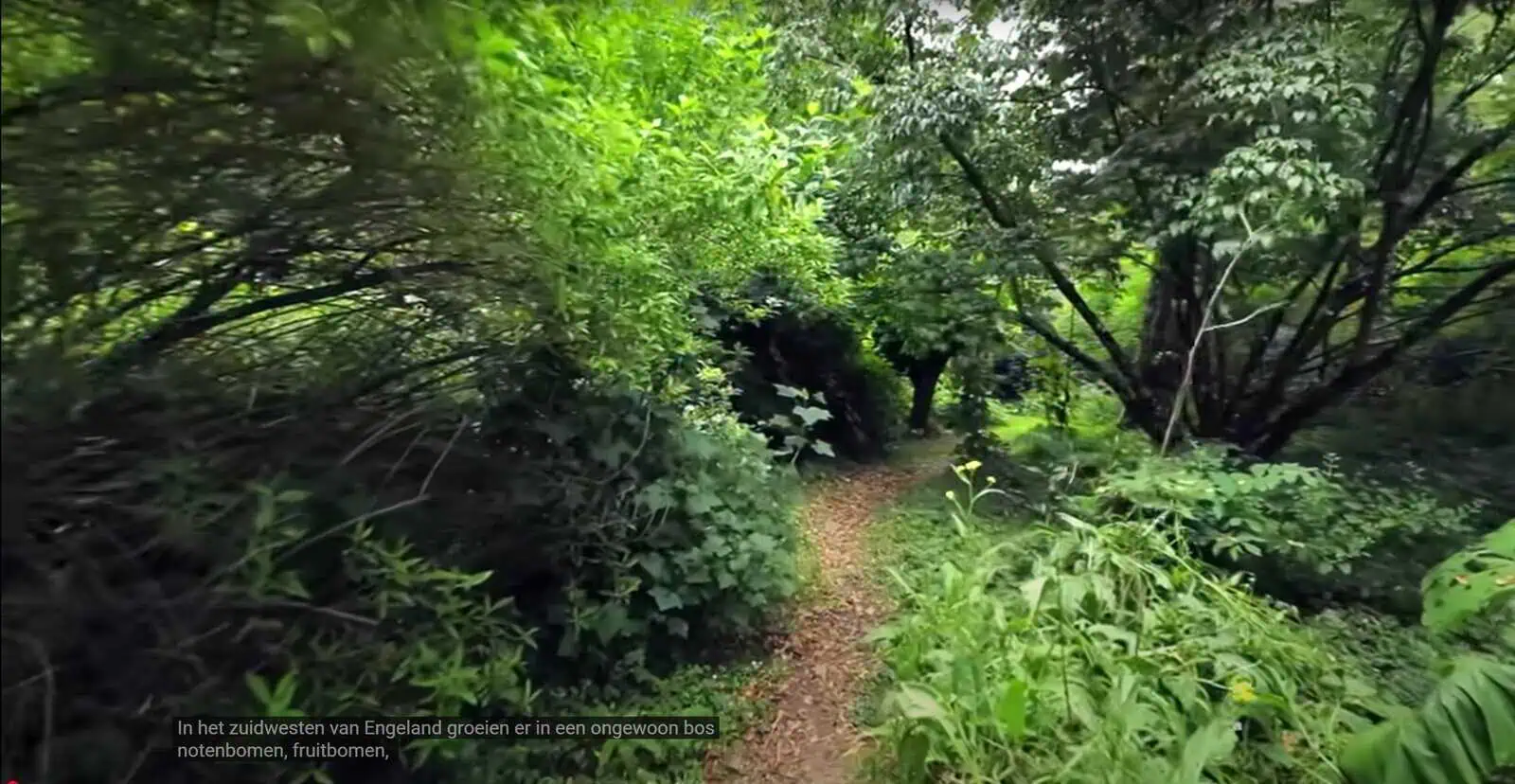 Forest Garden National Geographic