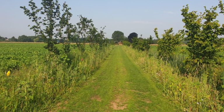 Provincie Drenthe | Wijziging van de Verordening Europese Landbouwsubsidies 2023-2027