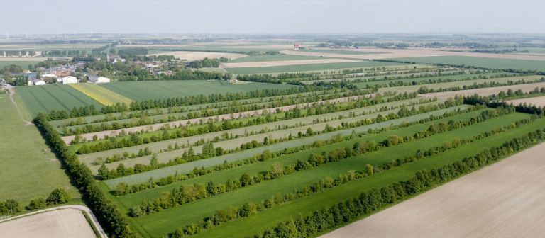 Provincie Gelderland | Wijziging Verordening Europese landbouwsubsidies 2023-2027