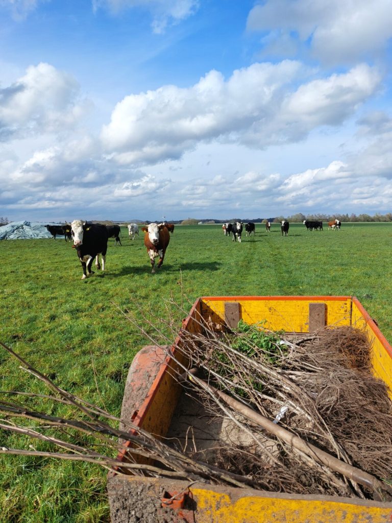 Bijeenkomst 3 | Agroforestry Netwerk Groningen