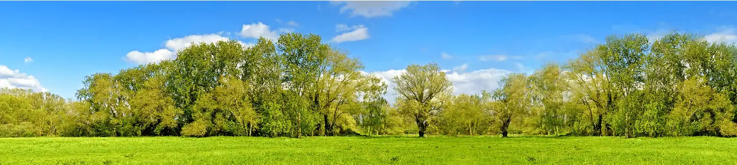 Agentschap Natuur en Bos Vlaanderen