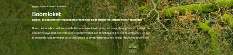 Boomloket