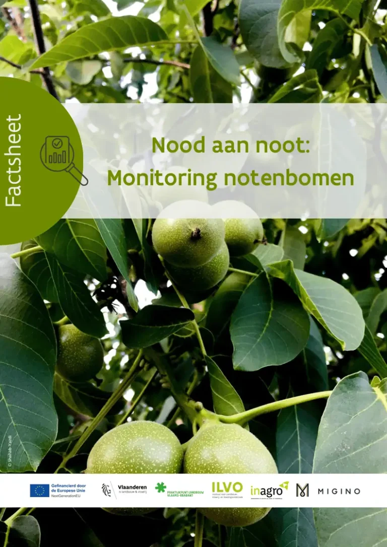 Monitoring notenbomen