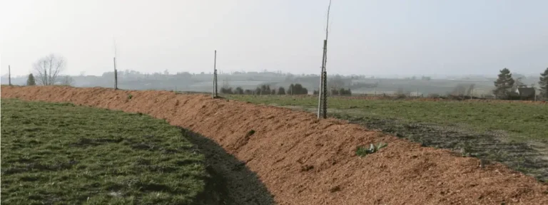 contourboslandbouw