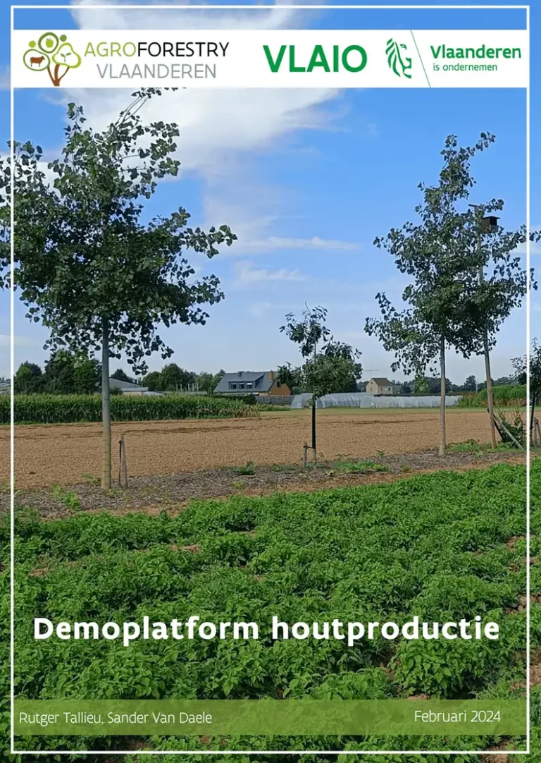 houtproductie