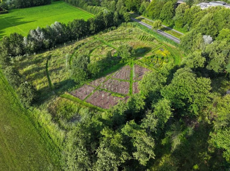 Herfstfeest bij voedselbos Leusden
