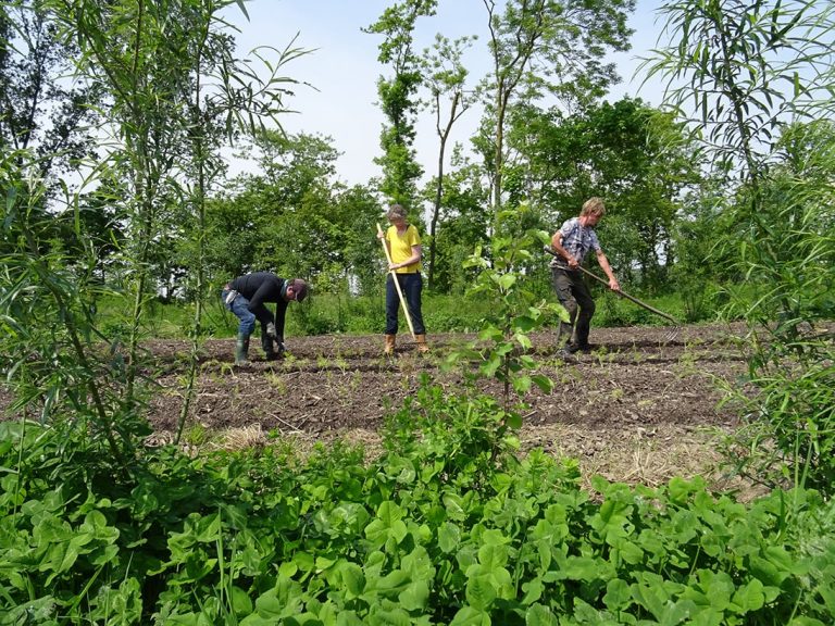 Workshop – Succesvol Bomen Planten