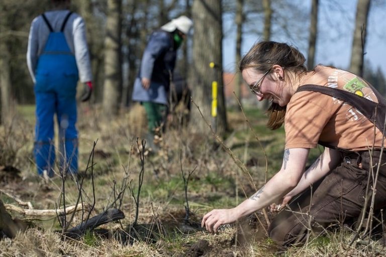 Meewerkdagen Agroforestry 2025