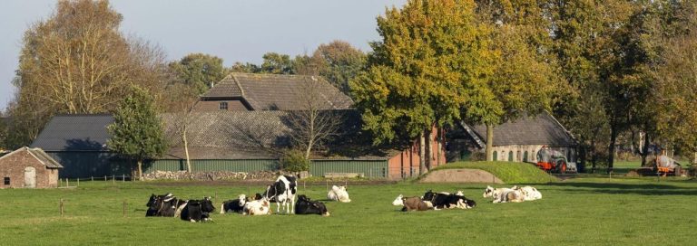 LTO presenteert notitie: Natuurinclusieve landbouw als kans voor boeren én natuur