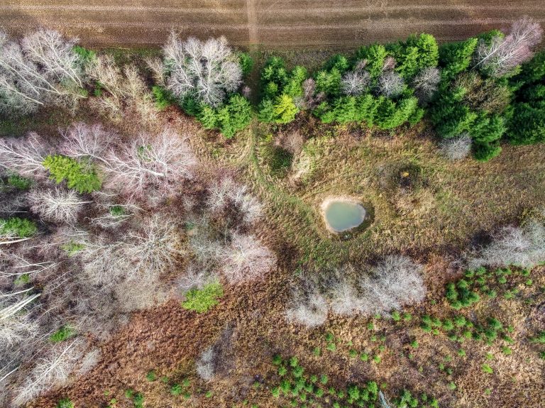 Subsidie voor productieve groen-blauwe investeringen geopend