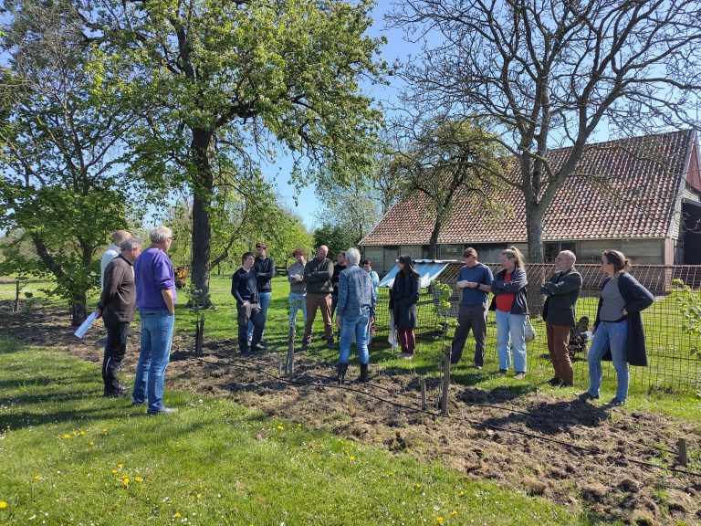 Wat betekent natuurpositieve agroforestry? Onderzoek en praktijk komen samen in Gelderland