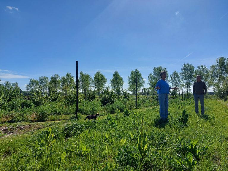 Van walnoten tot wijndruiven: Saalland bouwt met agroforestry aan weerbare landbouw