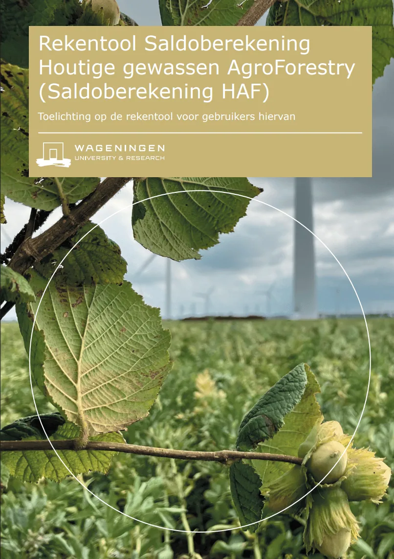 Rekentool saldoberekening HAF
