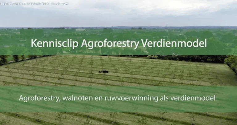 kennisclip agroforestry - walnoten en ruwvoer als verdienmodel