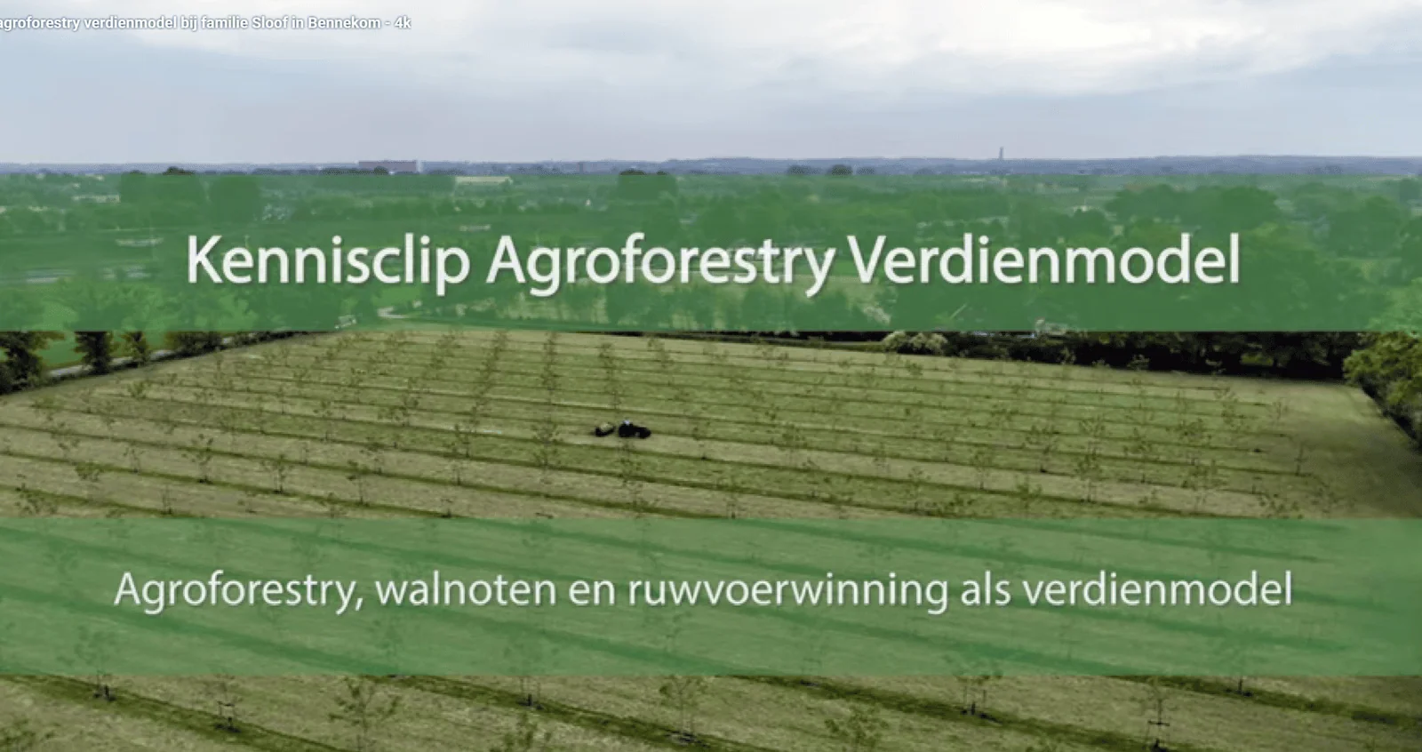 kennisclip agroforestry - walnoten en ruwvoer als verdienmodel