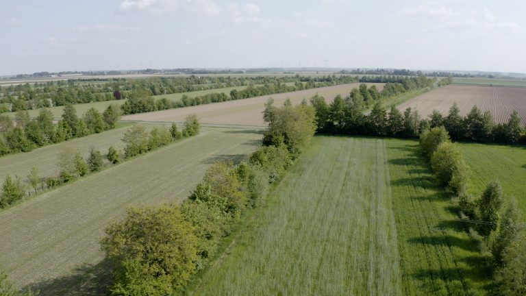 Veldbezoek agroforestry: Gezonde Bodem