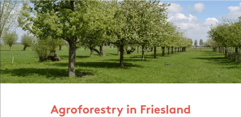 Agroforestry in Friesland
