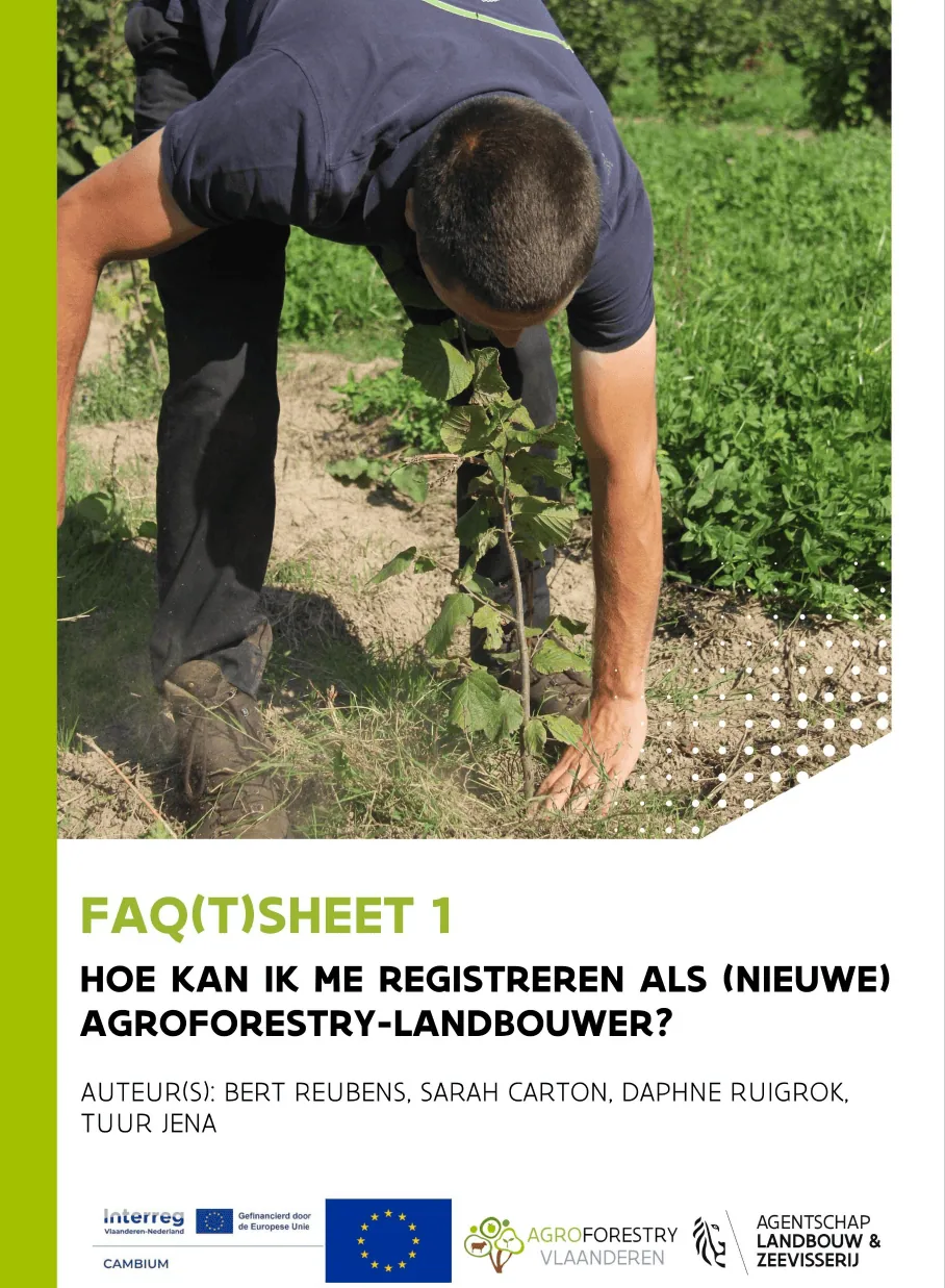 FAQTsheet 1