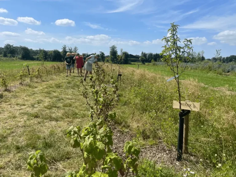 Agroforestry op zorgboerderij