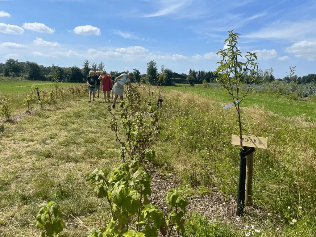 Agroforestry op zorgboerderij