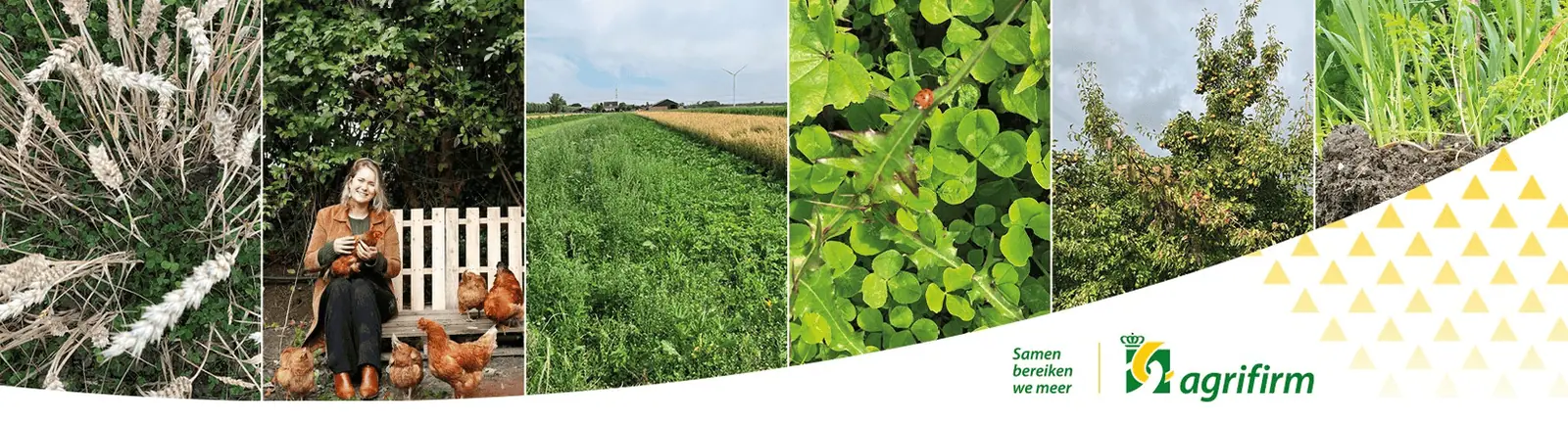 Agrifirm kennisboeren