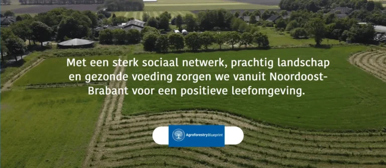 Agroforestry Blueprint