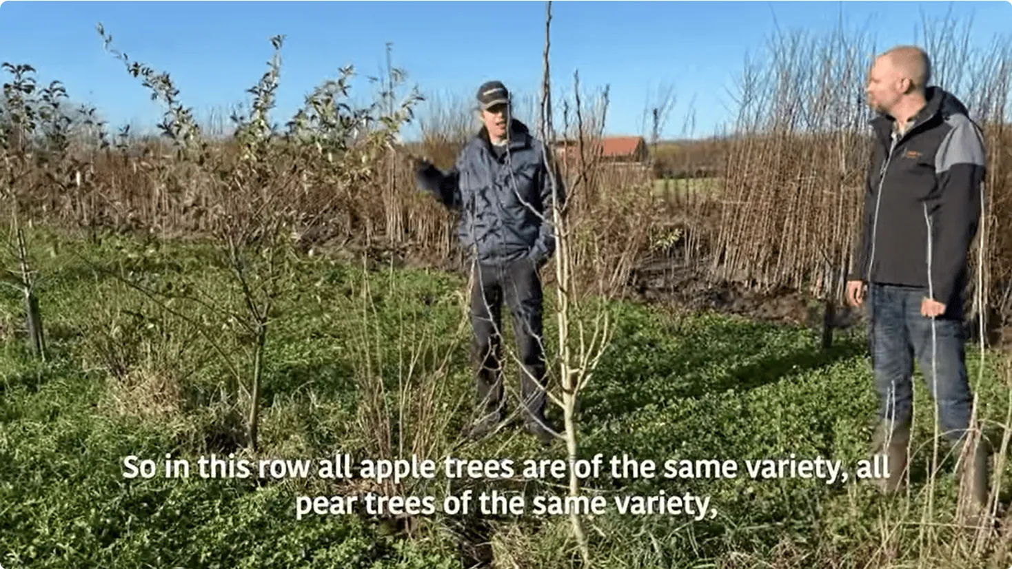 Agroforestryblueprint trio plantsysteem