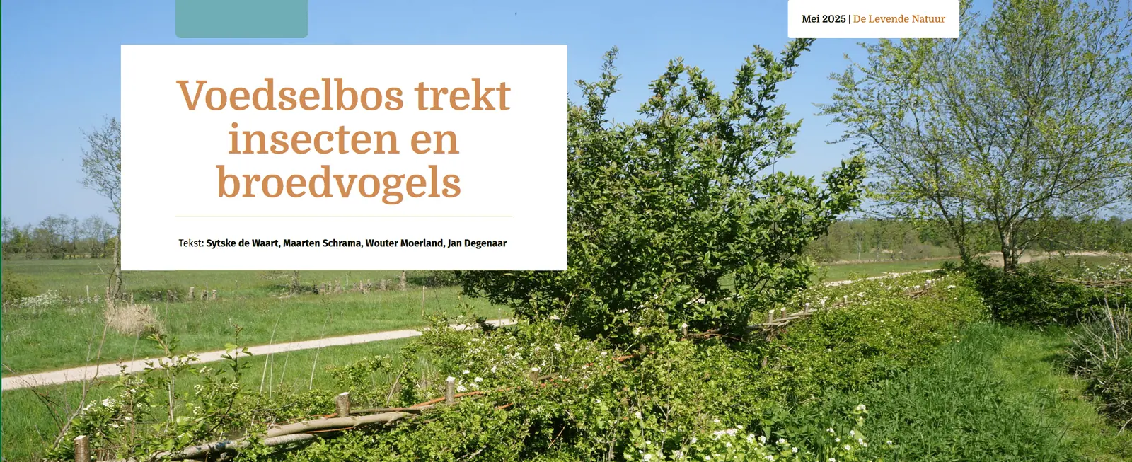 voedselbos trekt insecten en broedvogels
