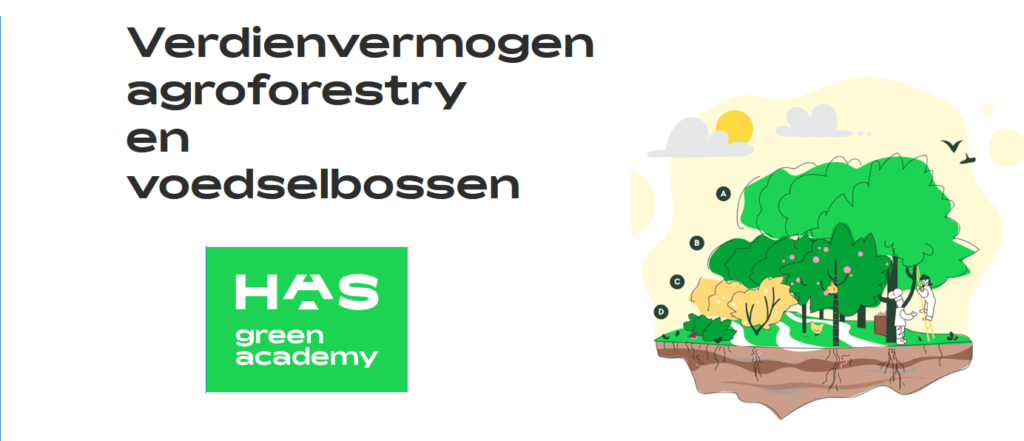 HAS verdienvermogen