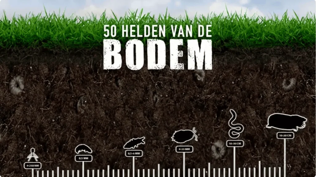 IVN bodemleven