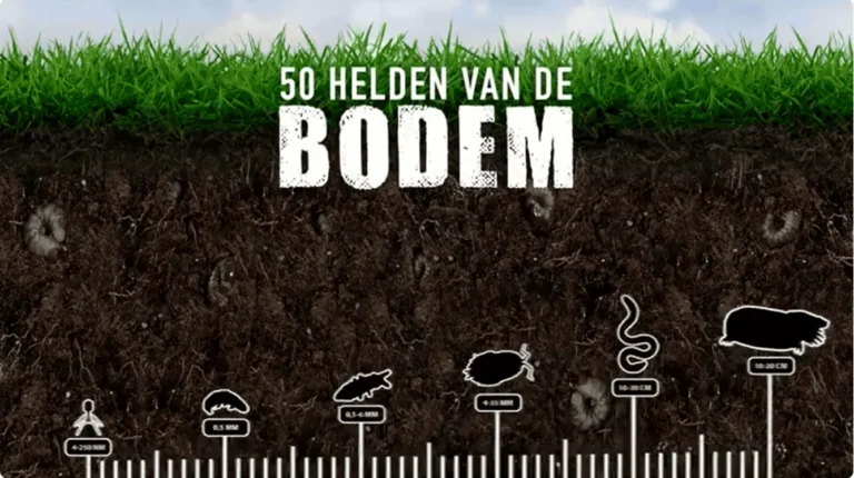 IVN bodemleven