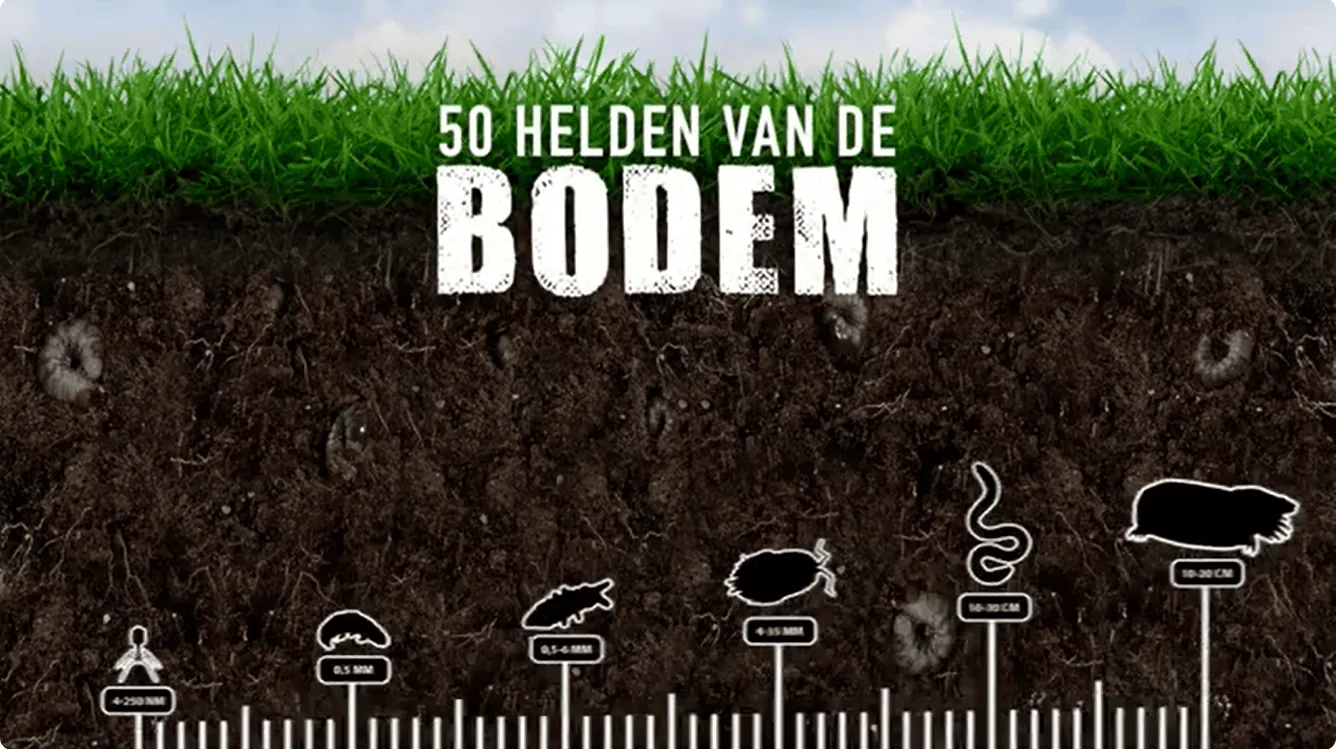 IVN bodemleven