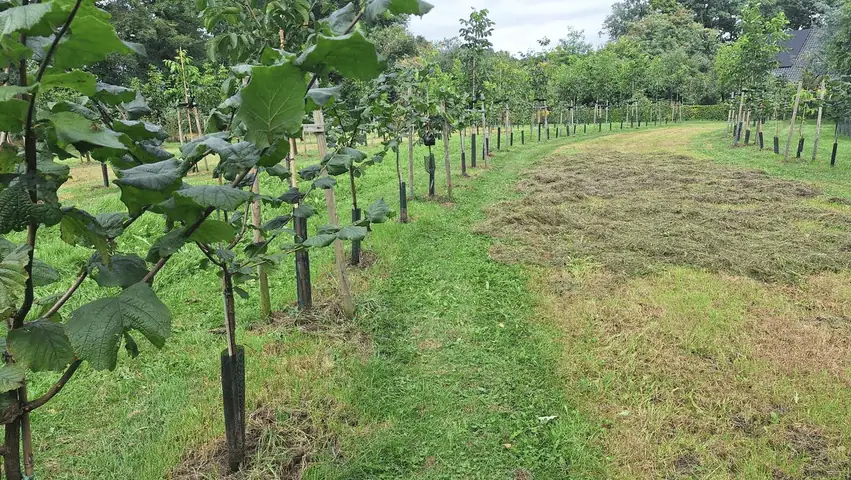 LTO Noord agroforestry