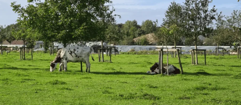Subsidie Brabant