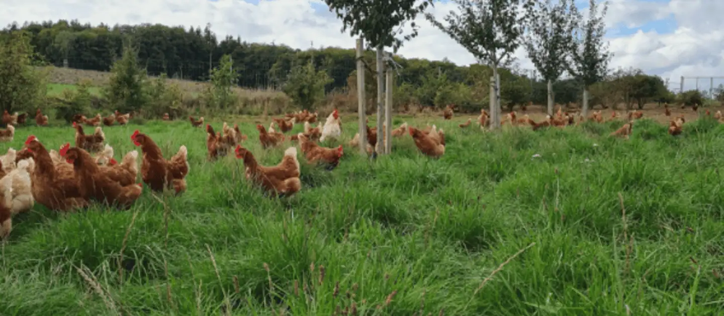 Subsidie Brabant 2026