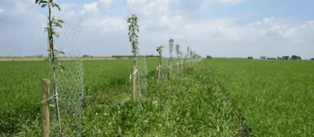 Subsidie RVO eco-regelingen 2026