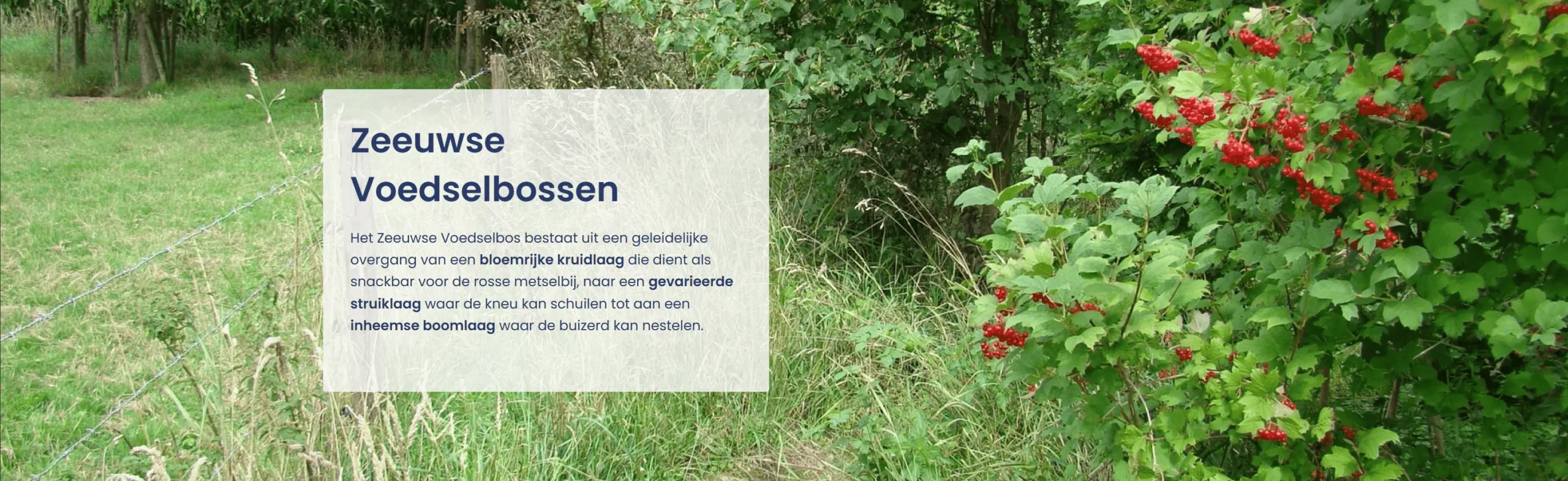 Voedselbossen Zeeland