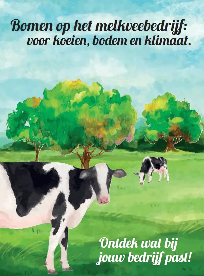 bomen voor koeien