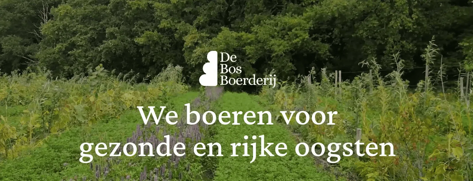 De bosboerderij