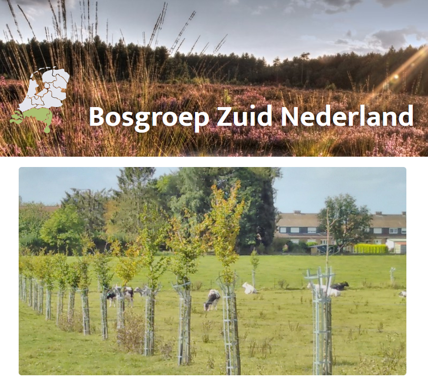 bosgroepen voedselbossen