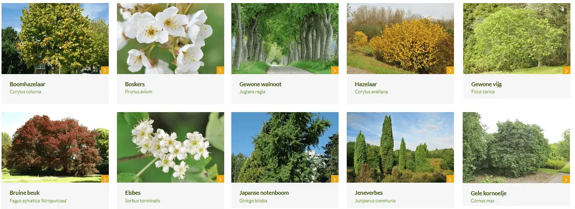 eetbare bomenwijzer ecopedia