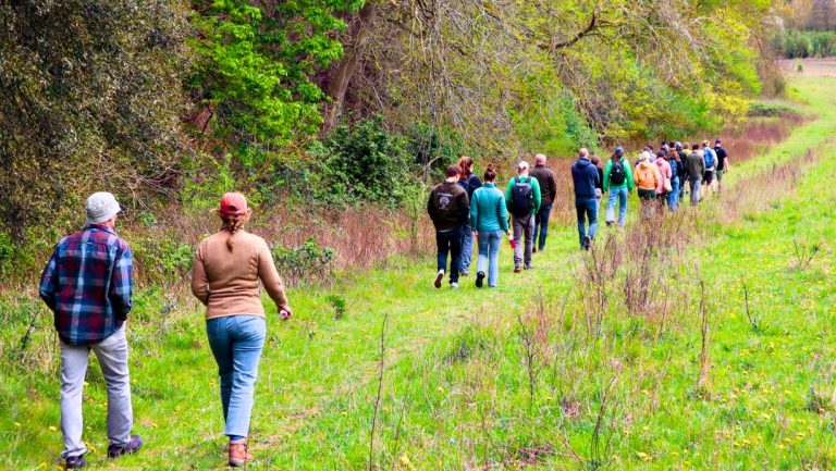 Agroforestryboeren op studiereis in Engeland