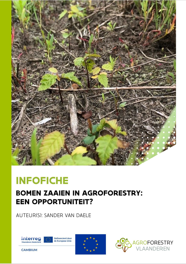 Factsheet bomen zaaien