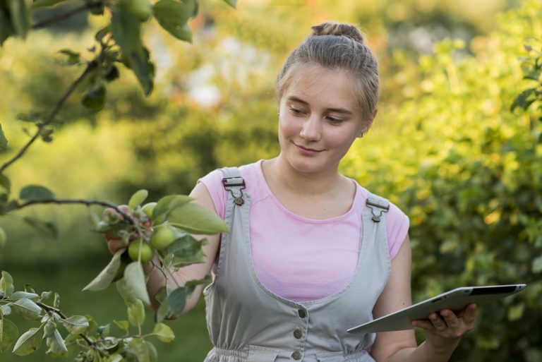 Agroforestry in het onderwijs: van losse initiatieven naar structurele inbedding?