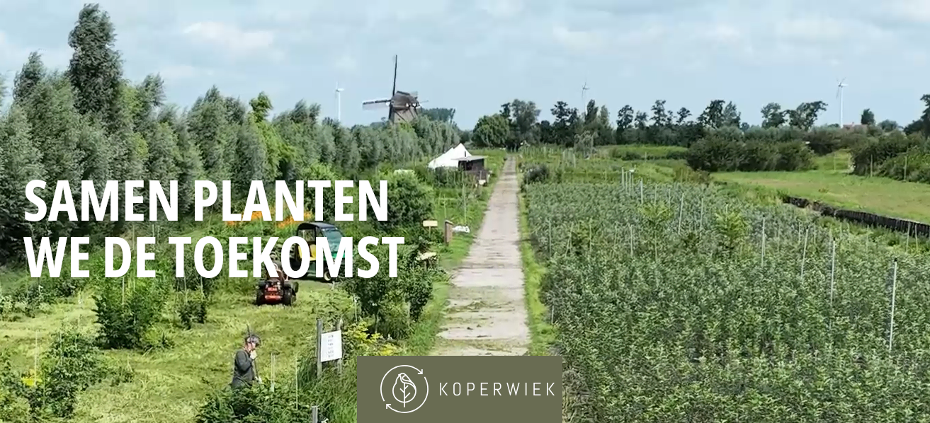 Agroforestry Koperwiek