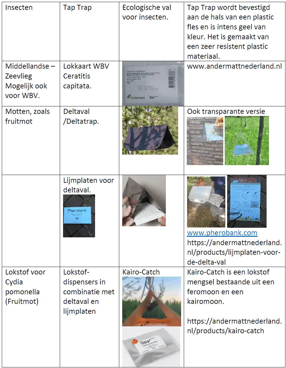 factsheet monitoren ziekten plagen walnoot