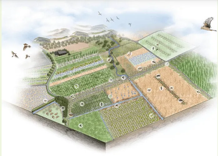 natuurinclusieve akkerbouw