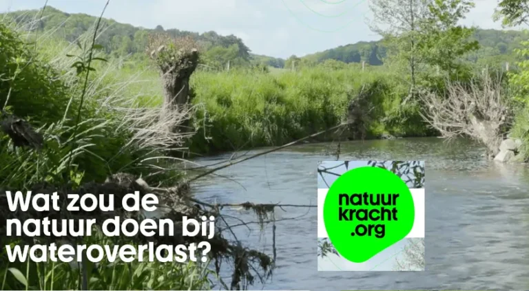 natuurkracht