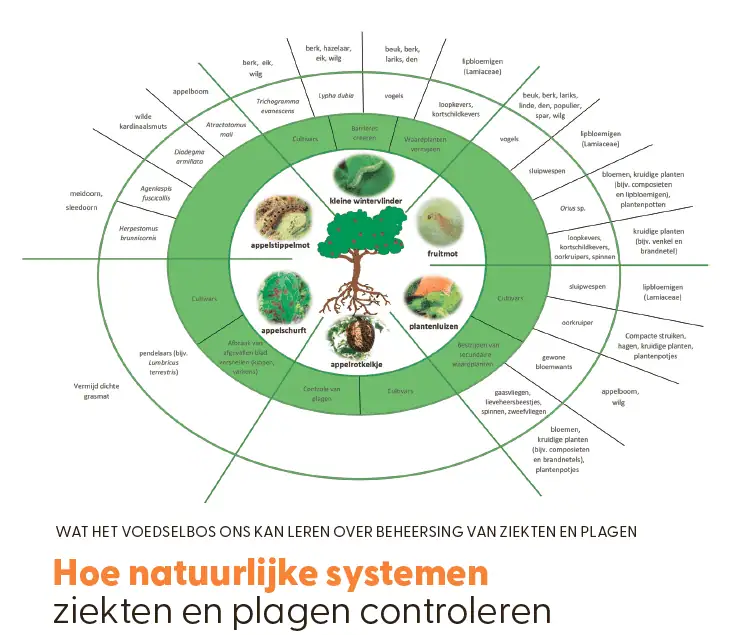 Natuurlijk plagen beheersen