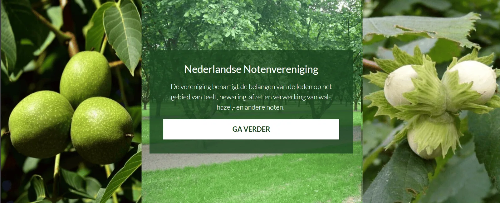 notenteelt vereniging